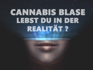 Cannabisabhängigkeit
